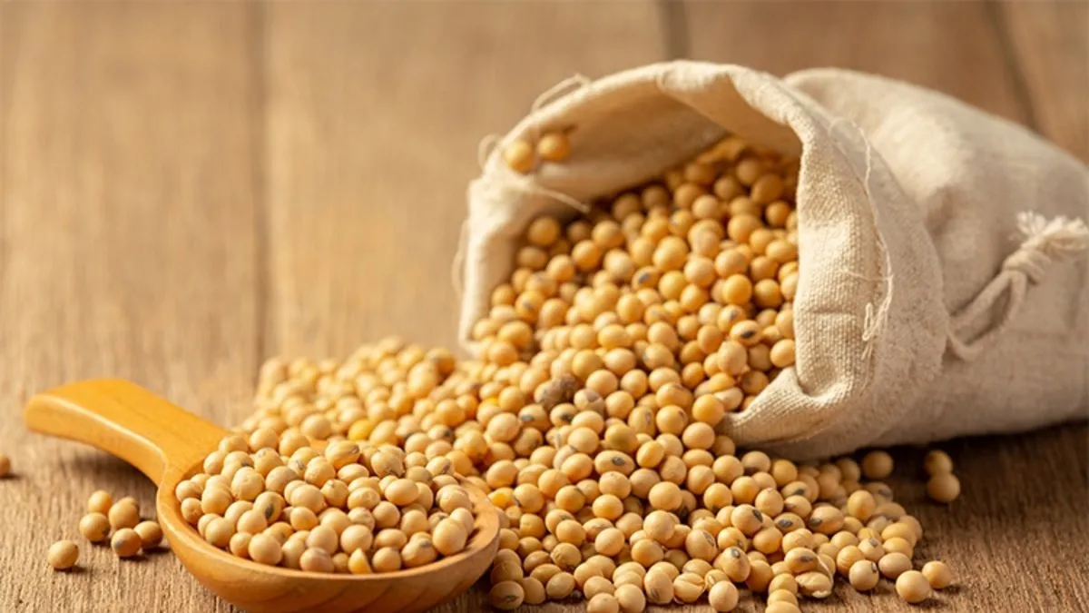 Soya lesitini