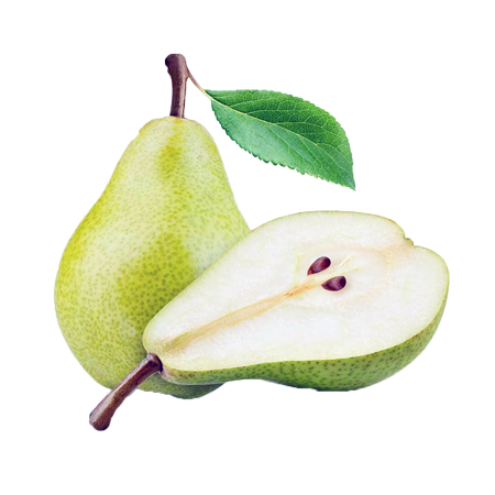 Armut Konsantresi